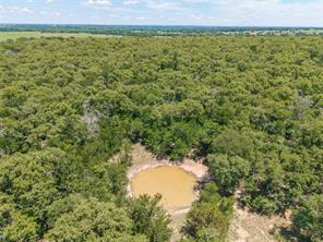 51.03 Acres Highway 16 - Photo 12