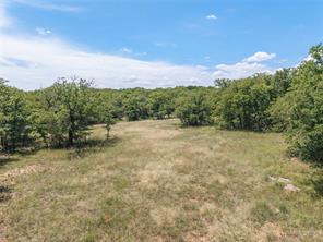 51.03 Acres Highway 16 - Photo 14