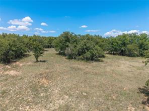 51.03 Acres Highway 16 - Photo 15