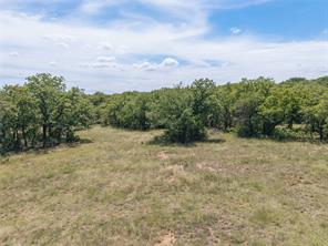 51.03 Acres Highway 16 - Photo 16