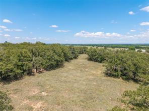 51.03 Acres Highway 16 - Photo 19