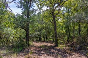 51.03 Acres Highway 16 - Photo 20
