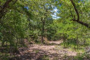 51.03 Acres Highway 16 - Photo 21