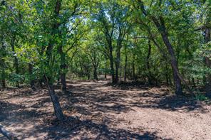 51.03 Acres Highway 16 - Photo 22