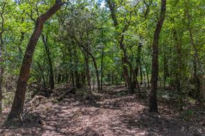 51.03 Acres Highway 16 - Photo 23