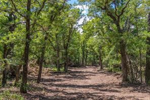 51.03 Acres Highway 16 - Photo 24