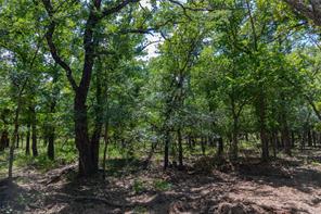 51.03 Acres Highway 16 - Photo 25