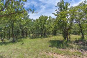 51.03 Acres Highway 16 - Photo 26