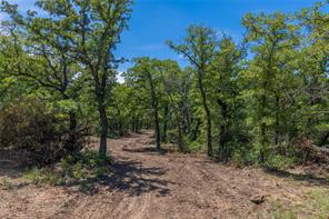 51.03 Acres Highway 16 - Photo 27