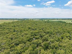 51.03 Acres Highway 16 - Photo 3