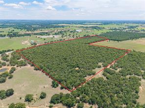 51.03 Acres Highway 16 - Photo 6