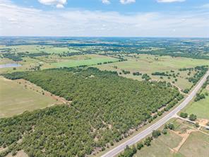 51.03 Acres Highway 16 - Photo 7