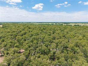 51.03 Acres Highway 16 - Photo 8
