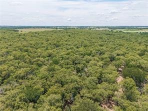 51.03 Acres Highway 16 - Photo 9