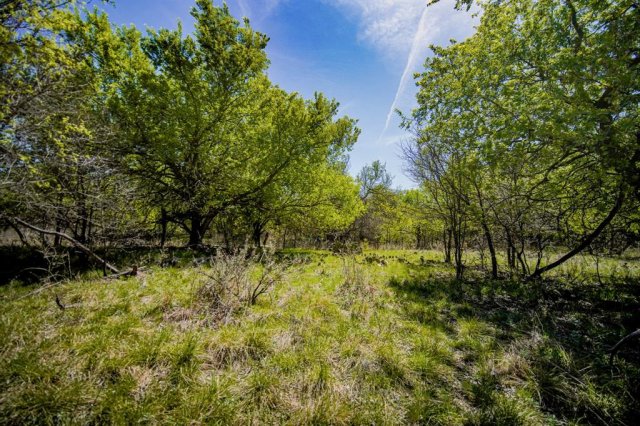 100 Acres FM 2950