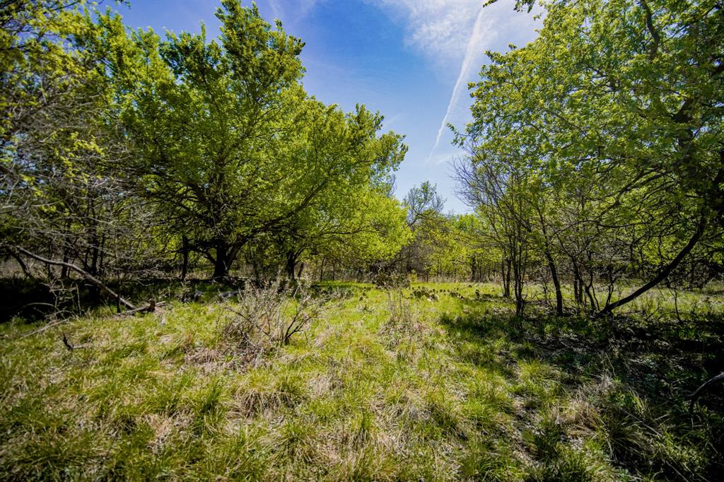 100 Acres FM 2950 - Photo 1