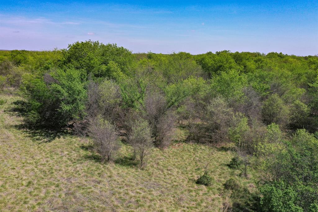 100 Acres FM 2950 - Photo 10