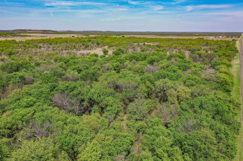 100 Acres FM 2950 - Photo 12