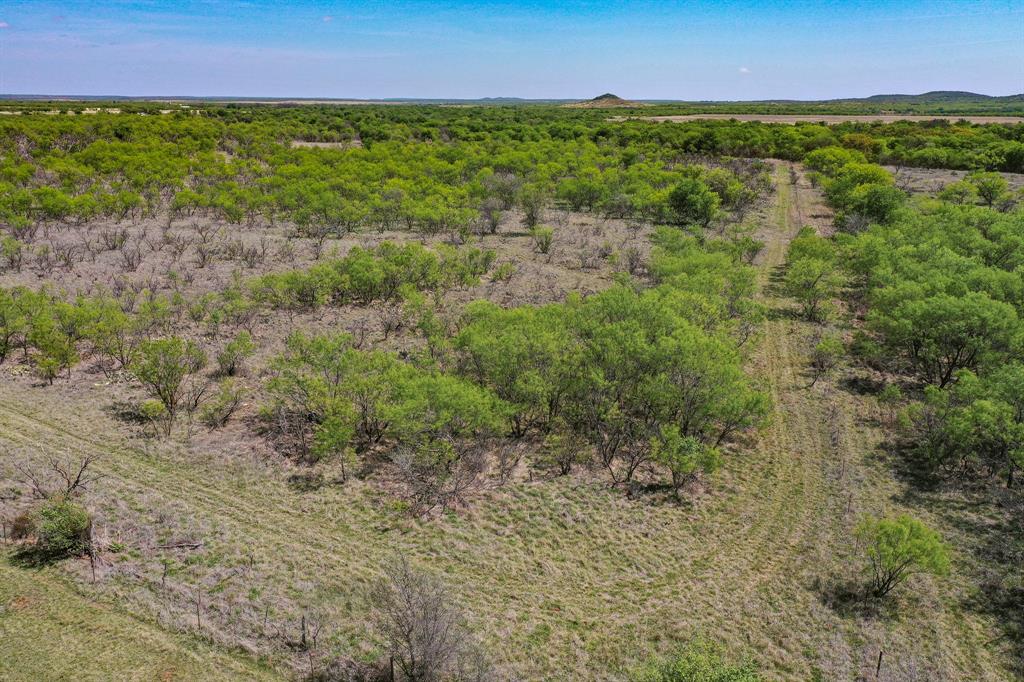 100 Acres FM 2950 - Photo 13