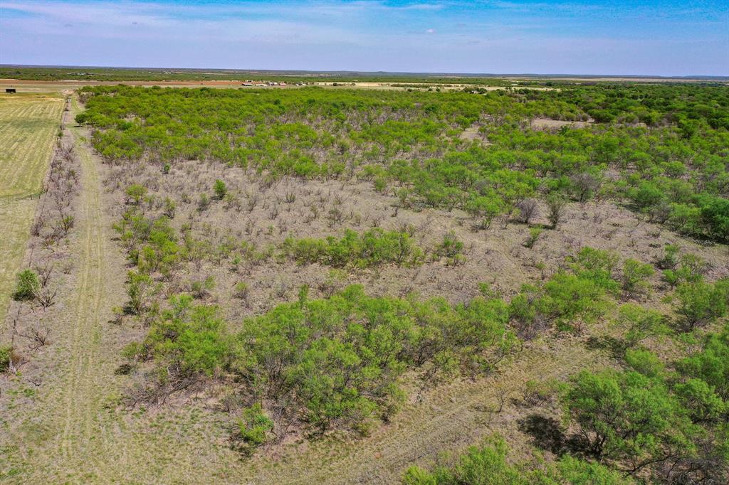 100 Acres FM 2950 - Photo 14
