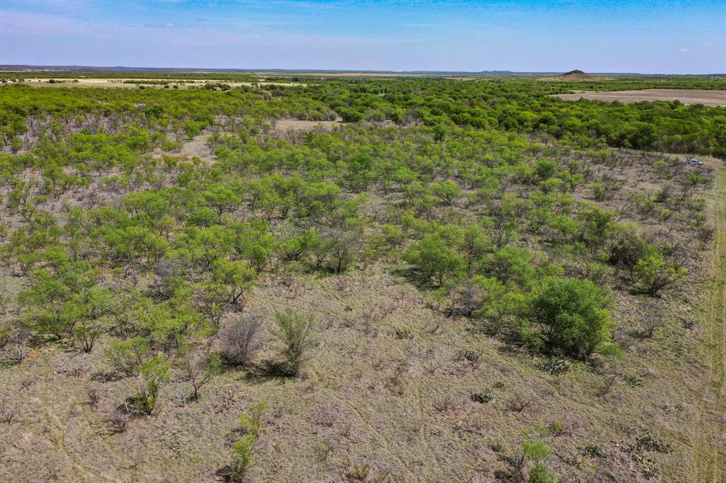 100 Acres FM 2950 - Photo 15