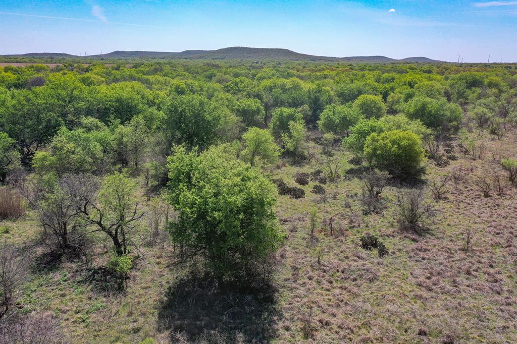 100 Acres FM 2950 - Photo 16