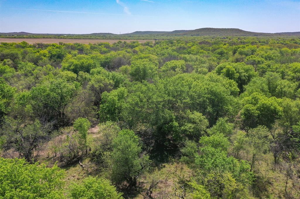 100 Acres FM 2950 - Photo 17