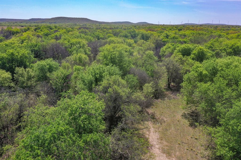 100 Acres FM 2950 - Photo 18