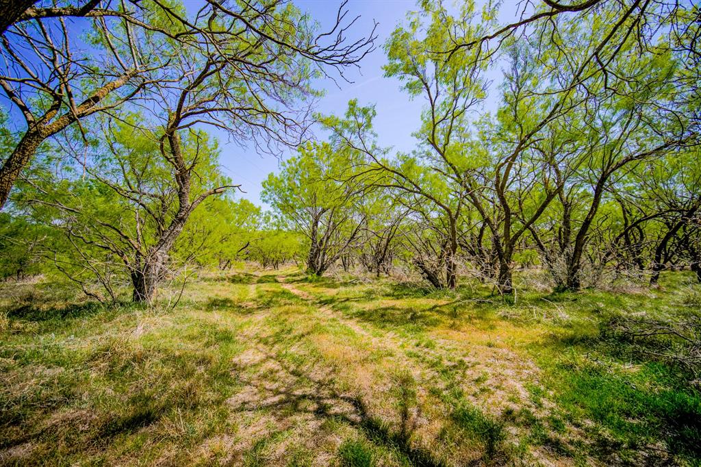 100 Acres FM 2950 - Photo 2