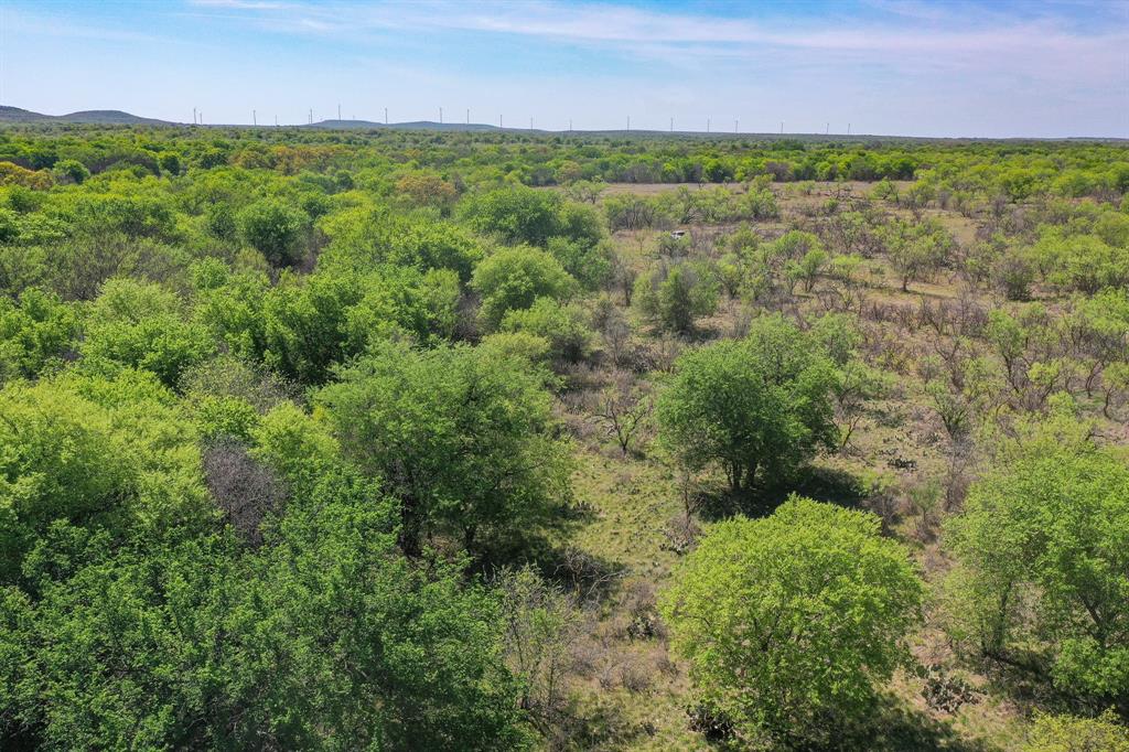 100 Acres FM 2950 - Photo 21