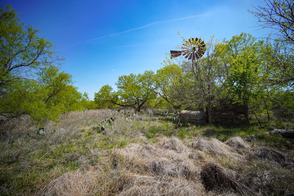 100 Acres FM 2950 - Photo 22