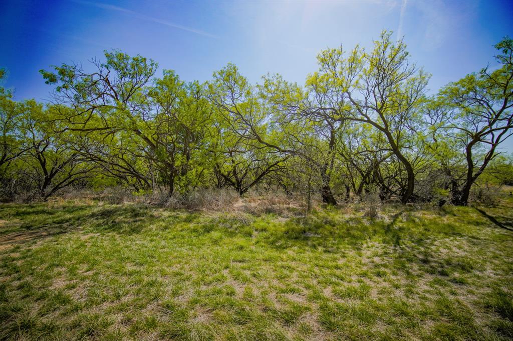 100 Acres FM 2950 - Photo 23