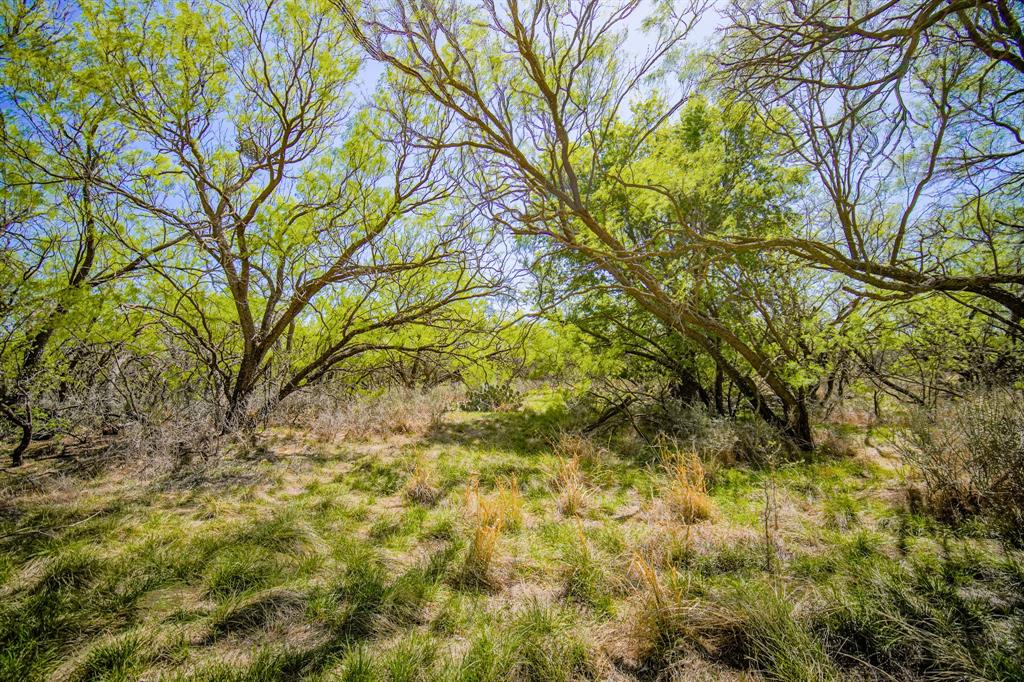 100 Acres FM 2950 - Photo 24
