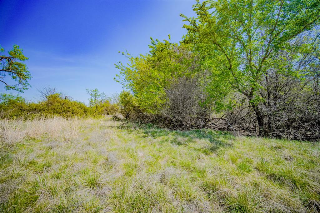 100 Acres FM 2950 - Photo 28