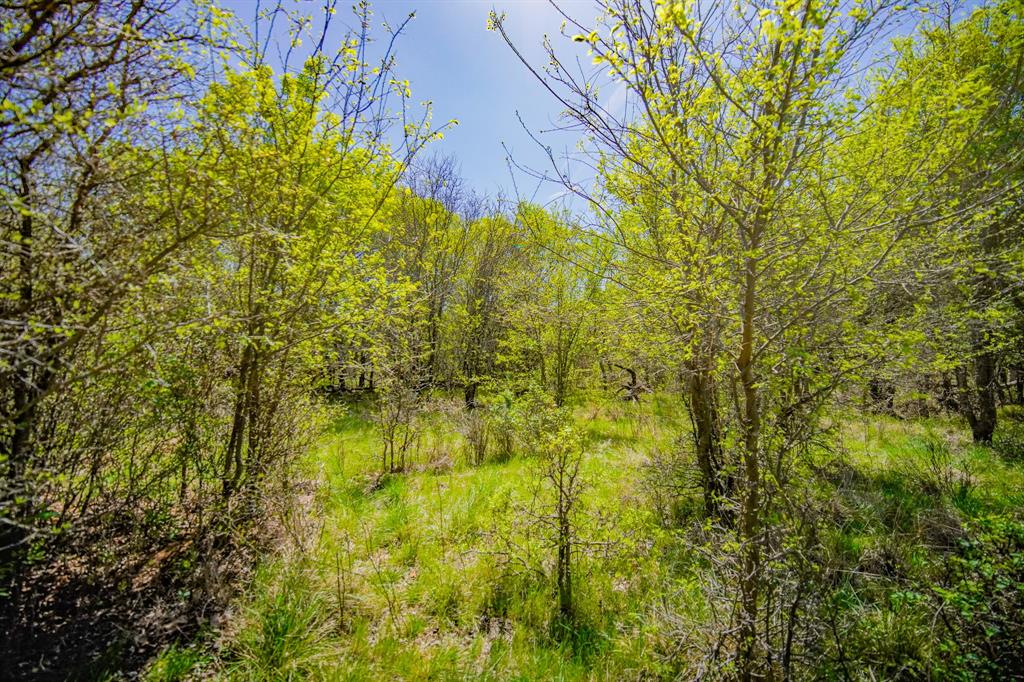 100 Acres FM 2950 - Photo 29