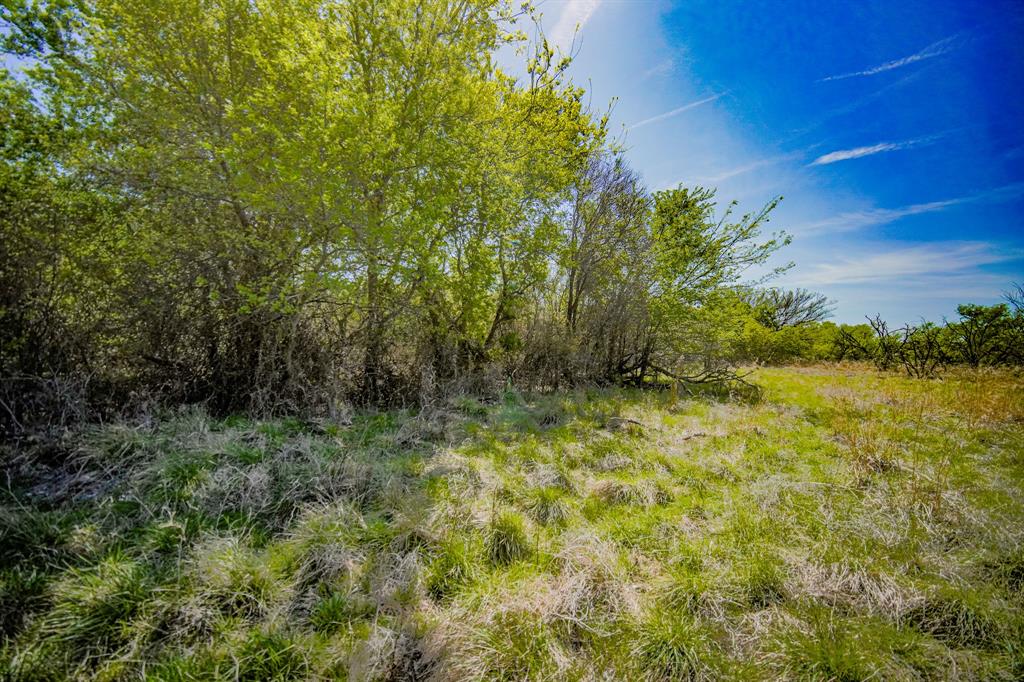 100 Acres FM 2950 - Photo 3