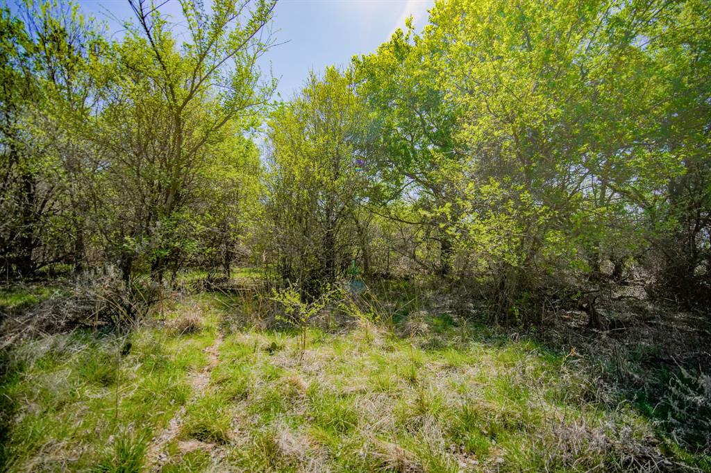 100 Acres FM 2950 - Photo 30