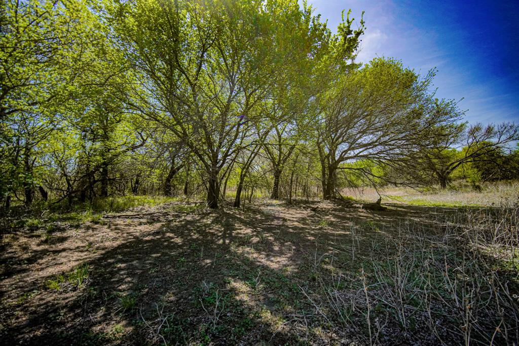 100 Acres FM 2950 - Photo 33
