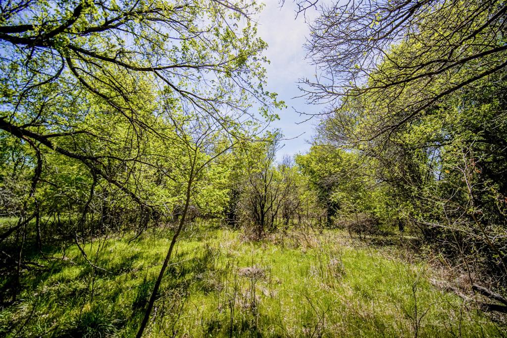 100 Acres FM 2950 - Photo 37