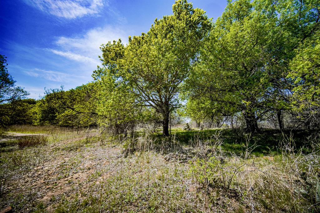 100 Acres FM 2950 - Photo 38