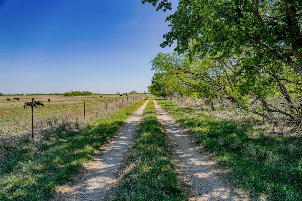 100 Acres FM 2950 - Photo 39