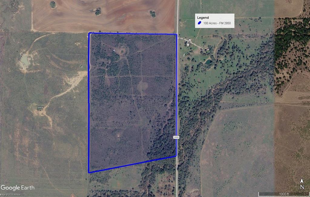100 Acres FM 2950 - Photo 40