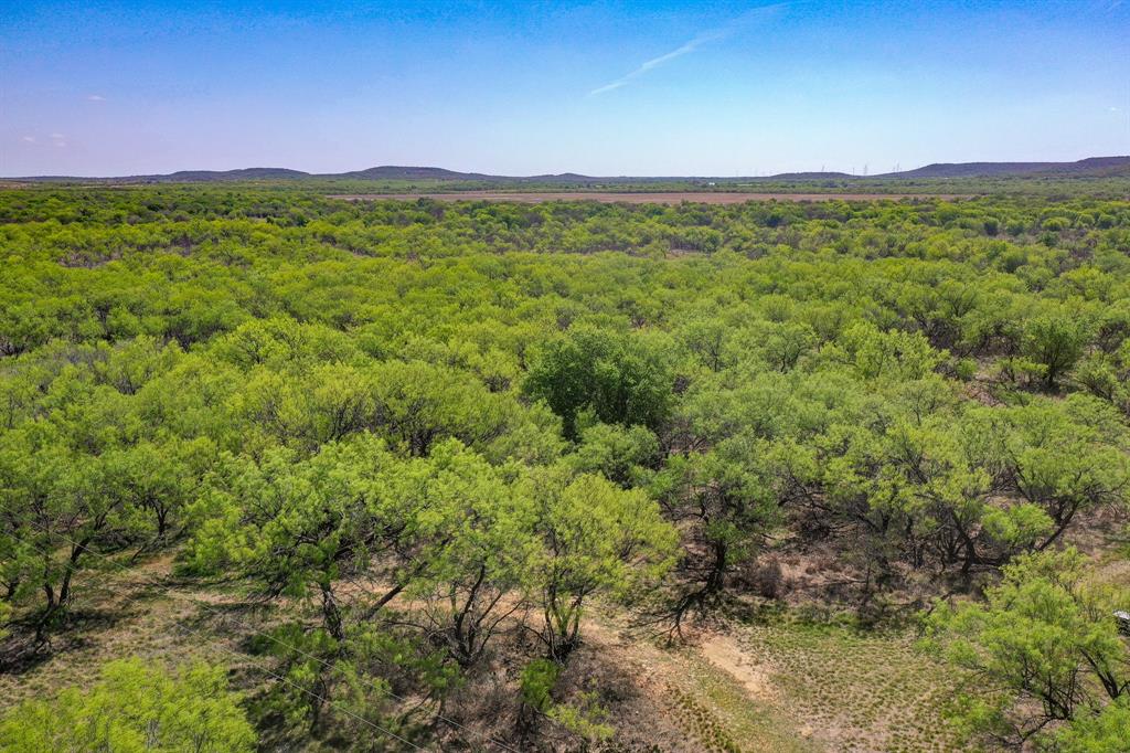 100 Acres FM 2950 - Photo 5