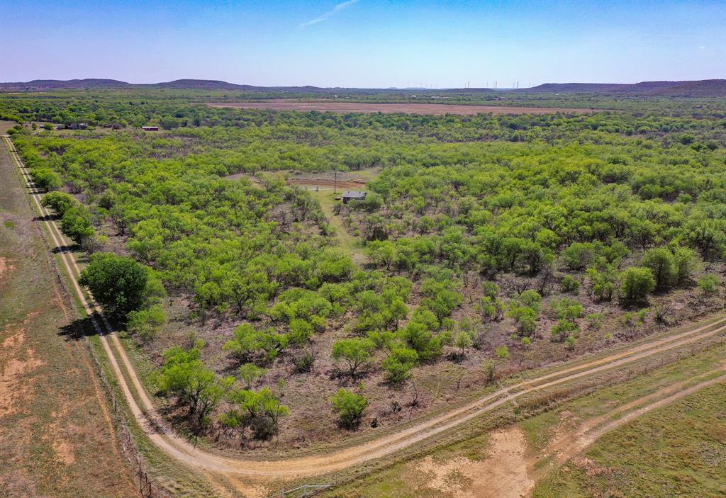 100 Acres FM 2950 - Photo 6
