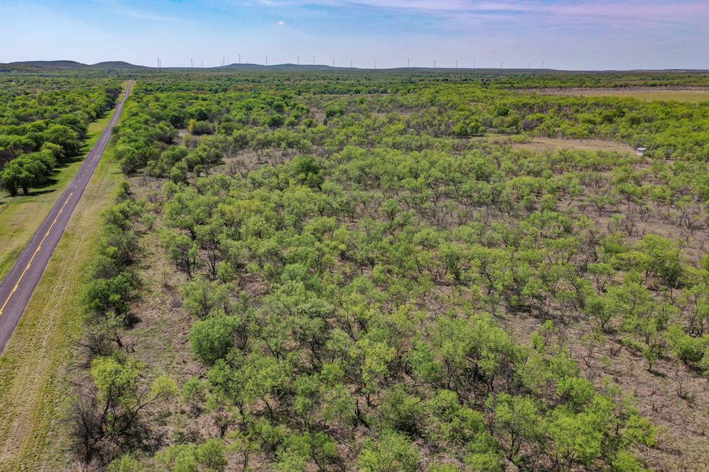 100 Acres FM 2950 - Photo 8