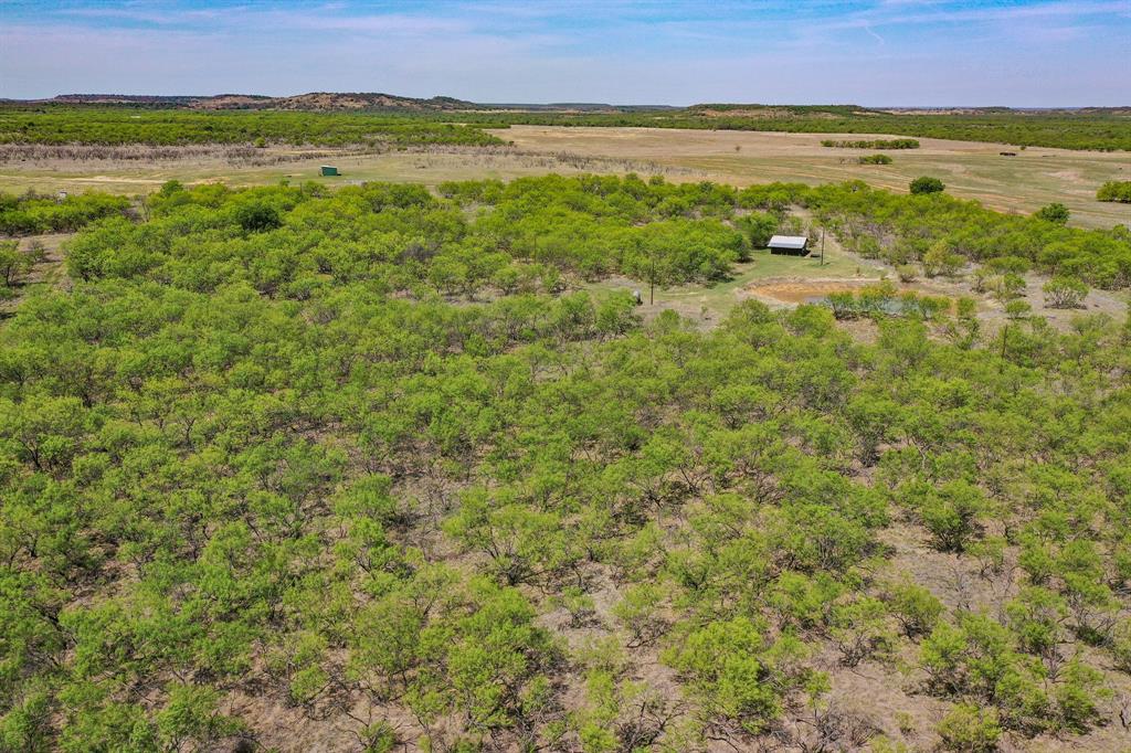 100 Acres FM 2950 - Photo 9