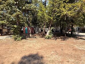 6435 FM 17 LOTS 387,388,345,346 - Photo 11