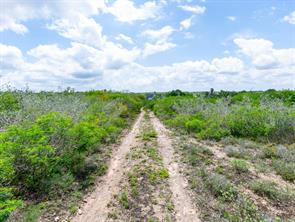 Lot 10 Carmel Drive - Photo 12