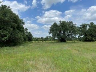 2040 Canyon Ranch Road - Photo 1