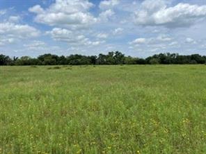 2040 Canyon Ranch Road - Photo 2